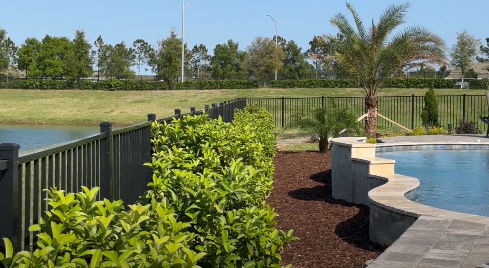 Waterfront Property Landscaping - Pool and Lawn Integration Waterfront landscaping with palm trees, pool area, and professional lawn maintenance